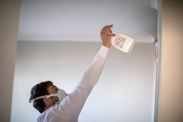 Best Attic Mold Removal  in Pasadena, TX