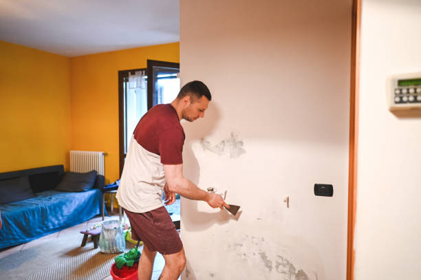 Best Professional Mold Removal  in Pasadena, TX